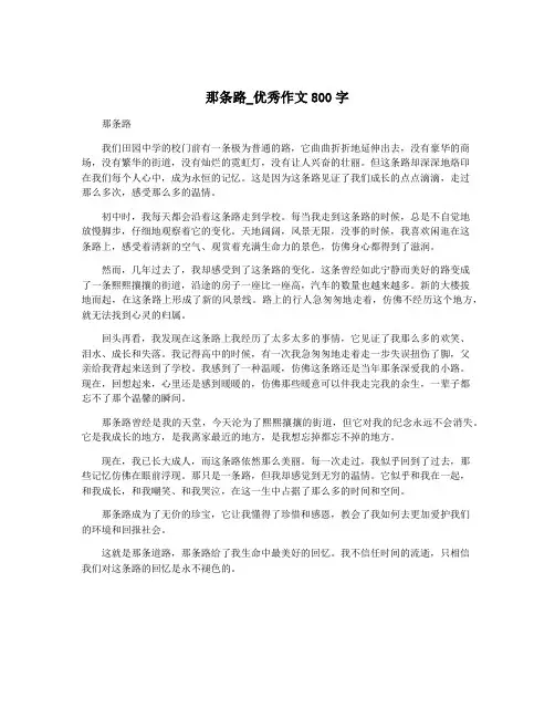 那条路_优秀作文800字
