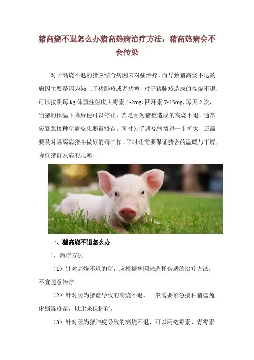 猪高烧不退怎么办 猪高热病治疗方法,猪高热病会不会传染