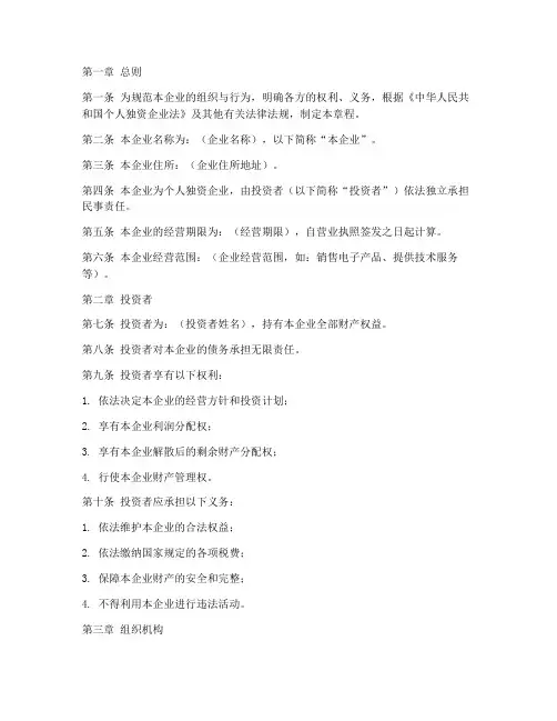 一人独资企业公司章程模板