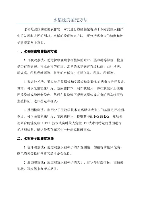 水稻检疫鉴定方法