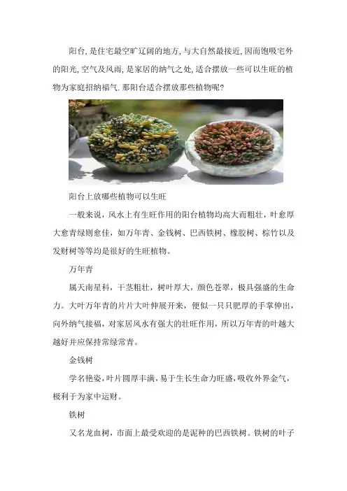 阳台上放什么植物能生旺挡煞
