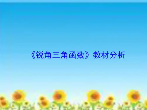 《锐角三角函数》教材分析