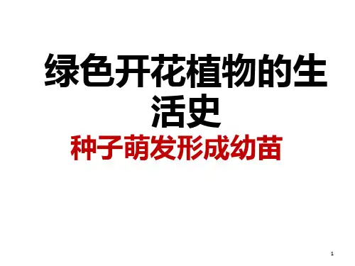 绿色开花植物的生活史的复习PPT课件