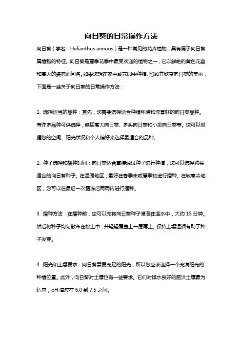向日葵的日常操作方法