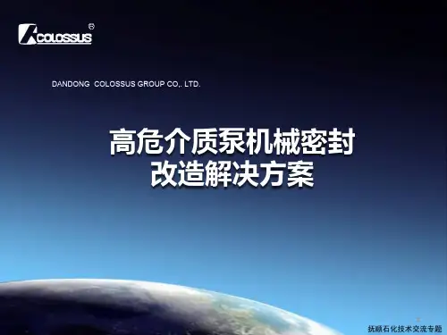 高危介质泵改造技术交流6272
