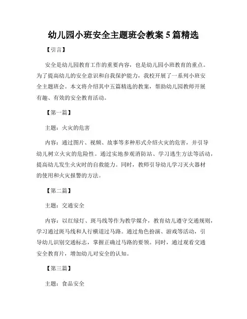 幼儿园小班安全主题班会教案5篇精选