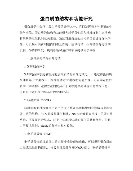 蛋白质的结构和功能研究