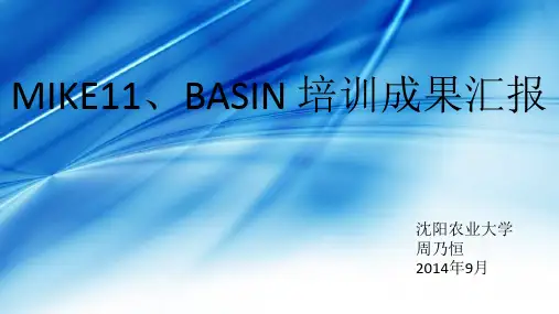 MIKE11BASIN建模教程