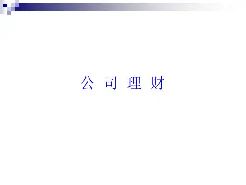 公司理财1170页PPT