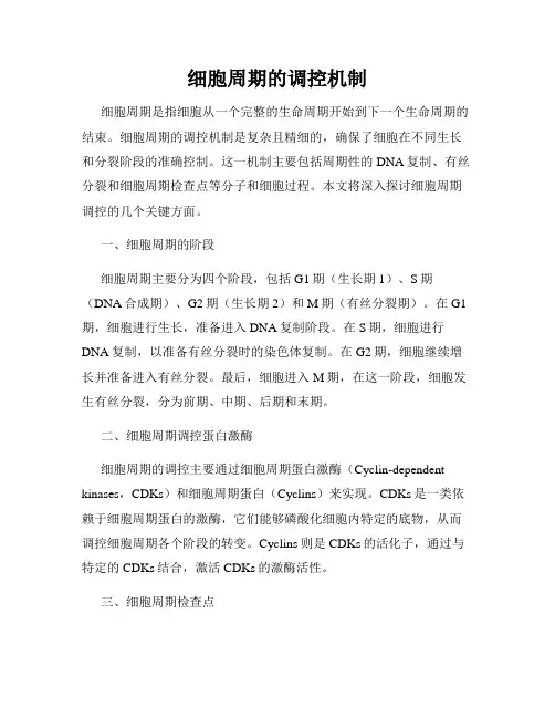 细胞周期的调控机制