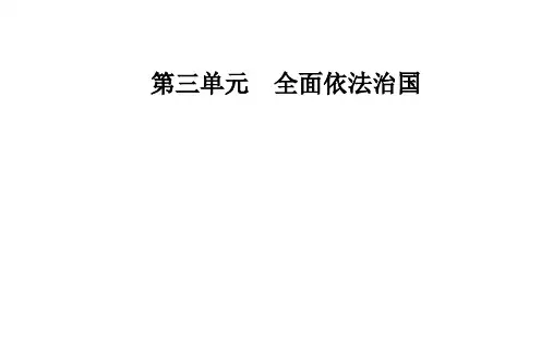 第八课法治政府课件-新教材高中政治统编版必修三PPT