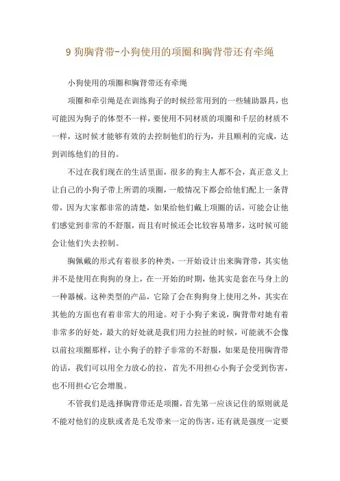 9狗胸背带-小狗使用的项圈和胸背带还有牵绳