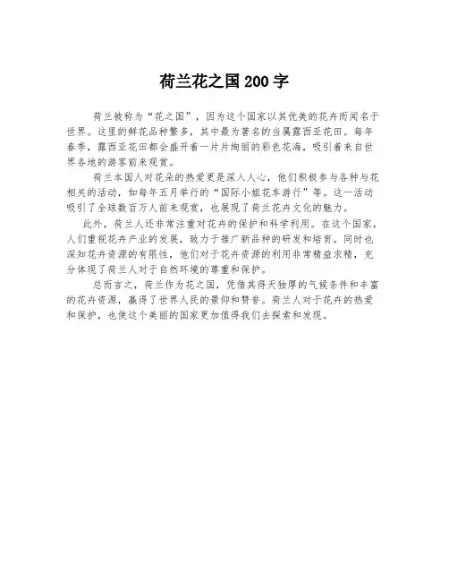 荷兰花之国200字