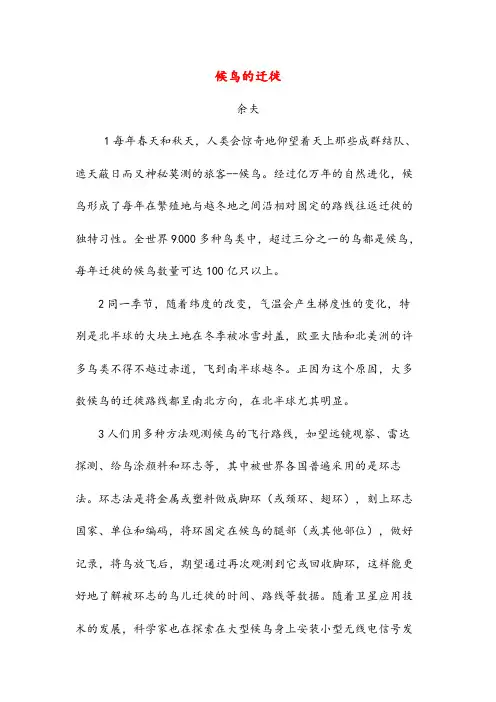 候鸟的迁徙(初中阅读)