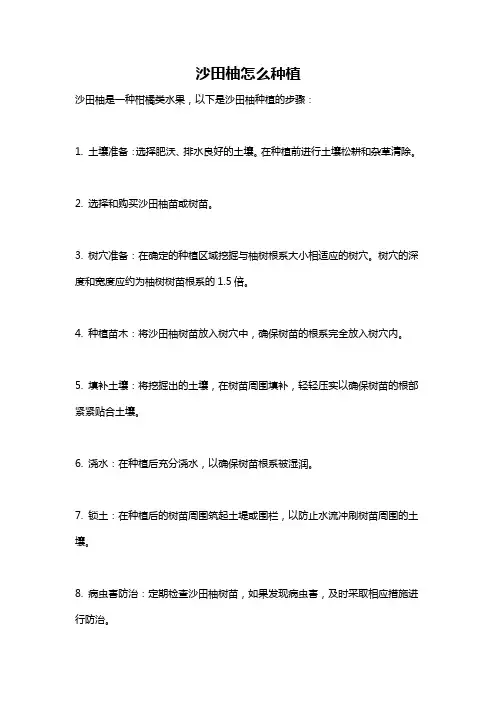 沙田柚怎么种植