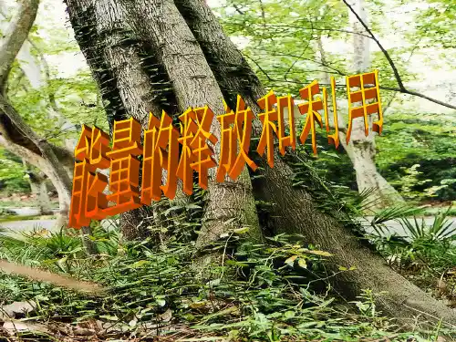 苏科版八年级上生物第七章 能量的释放和利用1课件ppt