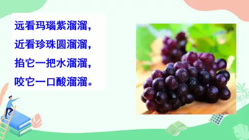 11 葡萄沟 课件(共31张PPT)