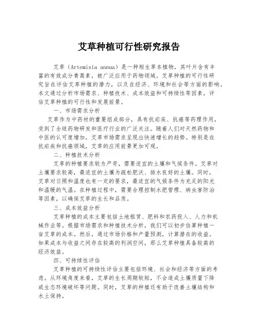 艾草种植可行性研究报告