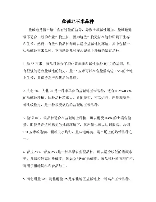 盐碱地玉米品种