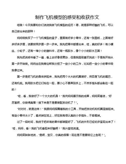 制作飞机模型的感受和收获作文