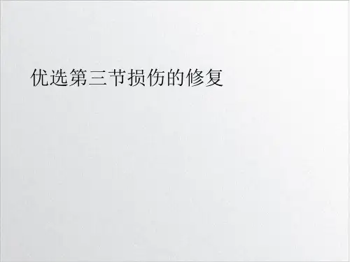 三节损伤的修复课件