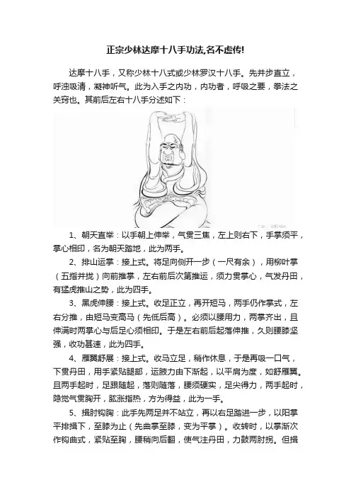 正宗少林达摩十八手功法,名不虚传!
