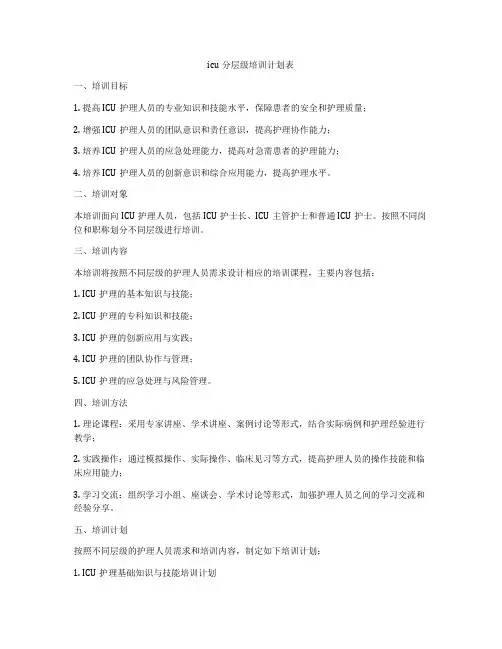 icu分层级培训计划表