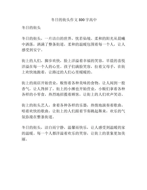 冬日的街头作文800字高中