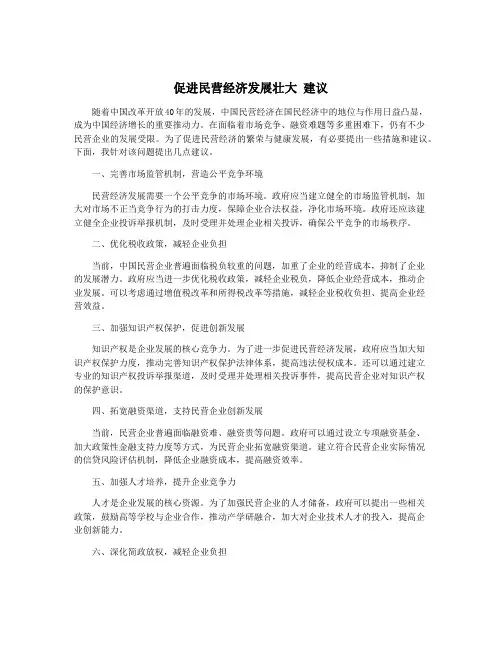 促进民营经济发展壮大 建议