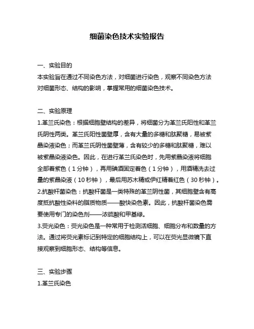 细菌染色技术实验报告