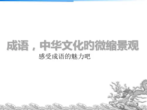 成语中华文化的围观缩影PPT课件