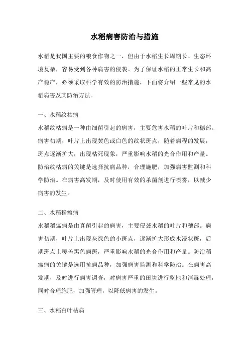水稻病害防治与措施
