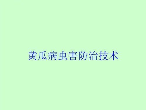 黄瓜病虫害防治技术培训课件
