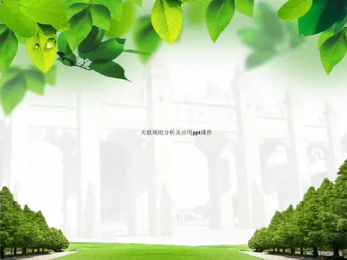 关联规则分析及应用ppt课件