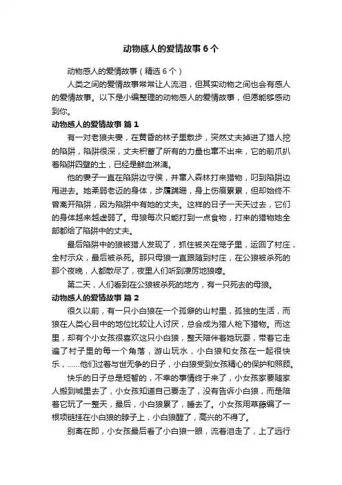 动物感人的爱情故事（精选6个）