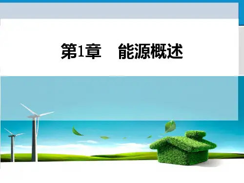 新能源发展概述PPT课件