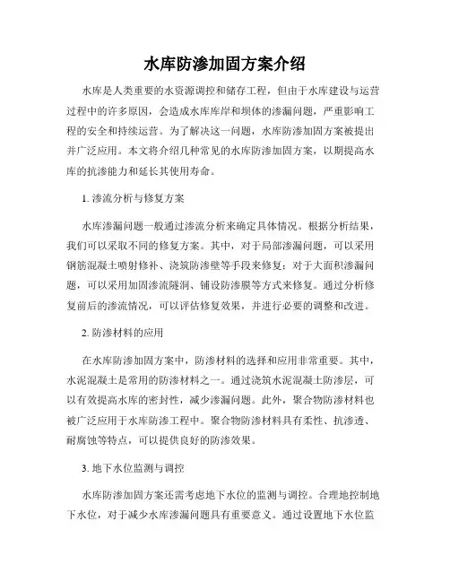 水库防渗加固方案介绍