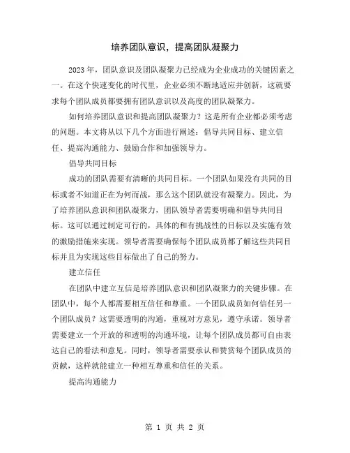培养团队意识,提高团队凝聚力