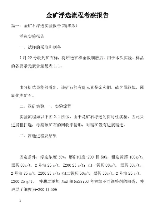 金矿浮选流程考察报告