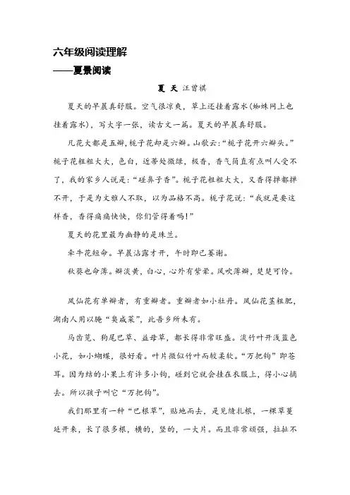 【主题阅读】六年级语文阅读理解之夏景阅读篇部编版(含答案)