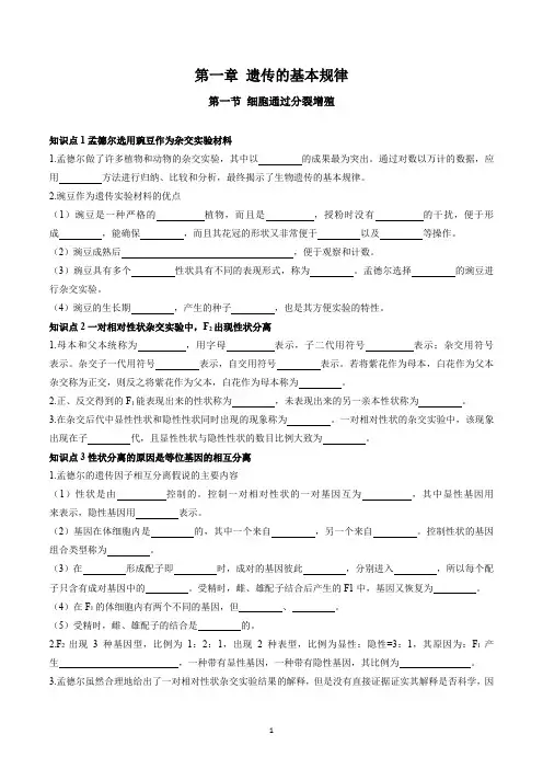 浙科版生物必修二学考复习第一章 遗传的基本规律(含答案)