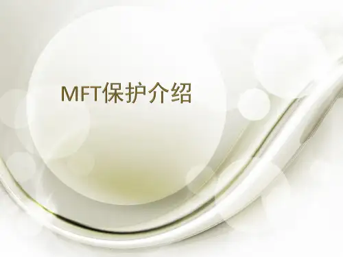 MFT保护介绍
