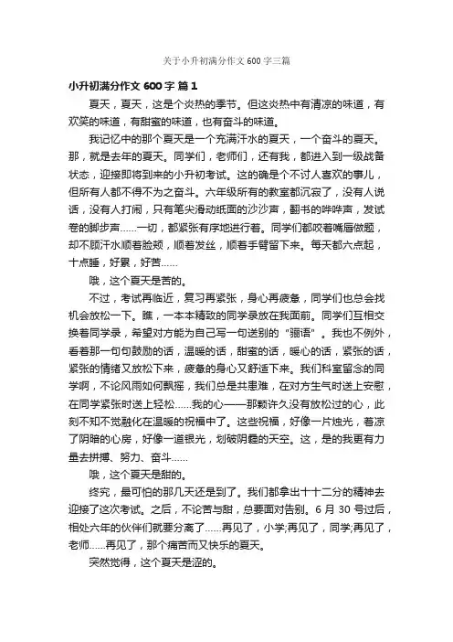 关于小升初满分作文600字三篇