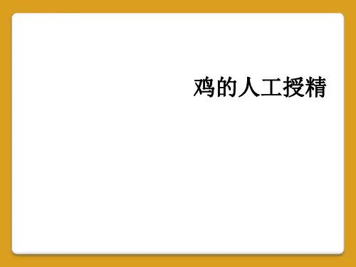 鸡的人工授精