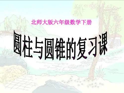 2012年六下数学《圆柱与圆锥练习课》课件(09)