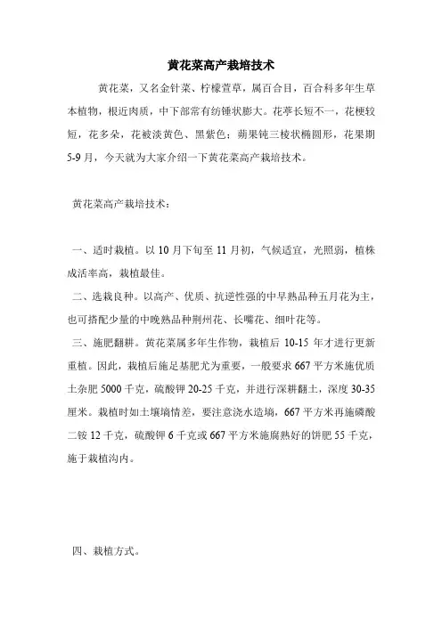 黄花菜高产栽培技术.doc