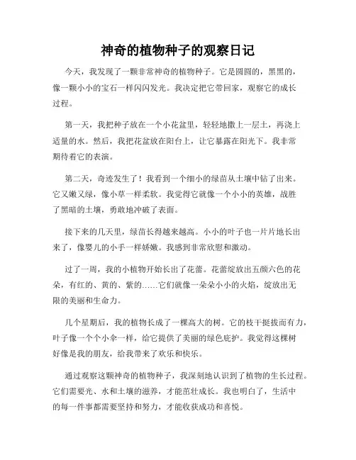 小学三年级作文神奇的植物种子的观察日记