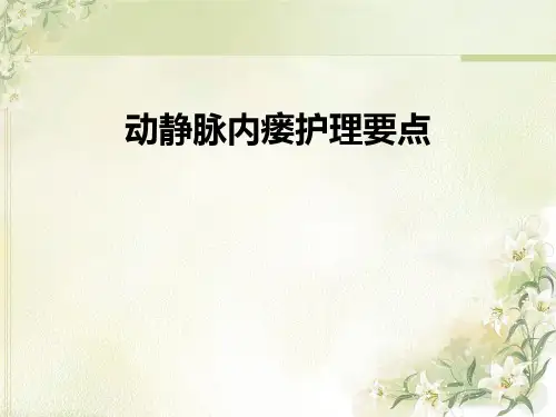 动静脉内瘘护理要点