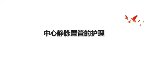 中心静脉置管的护理