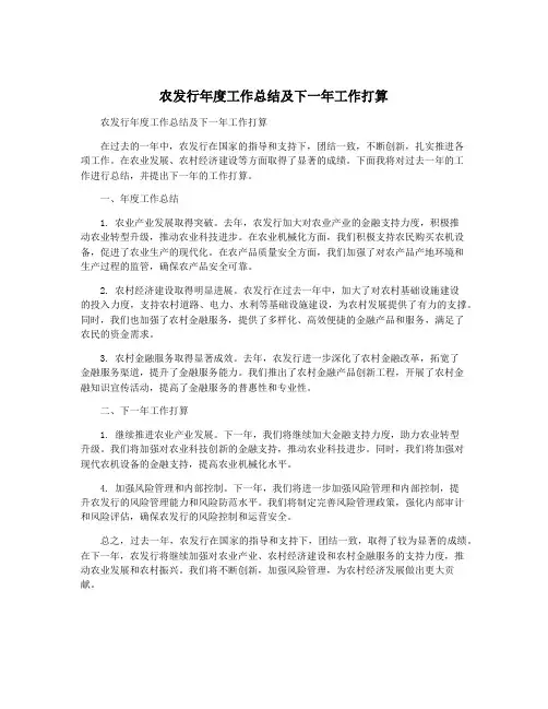 农发行年度工作总结及下一年工作打算